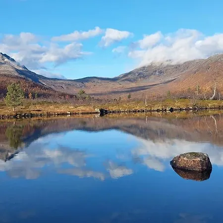 Dom wakacyjny On Senja Senjahopen
