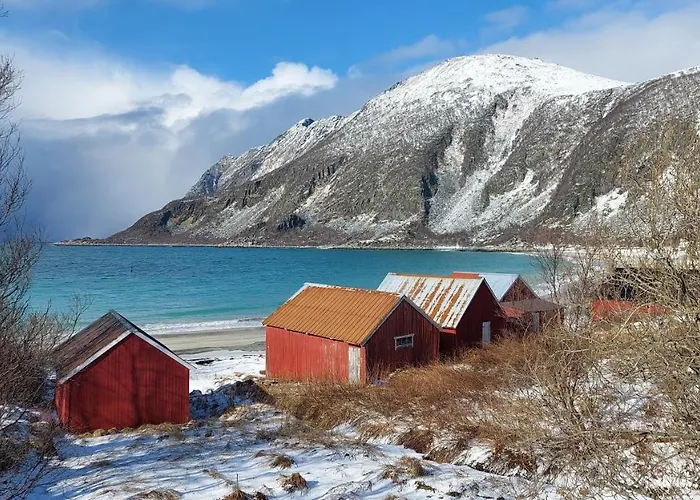 On Senja * Senjahopen