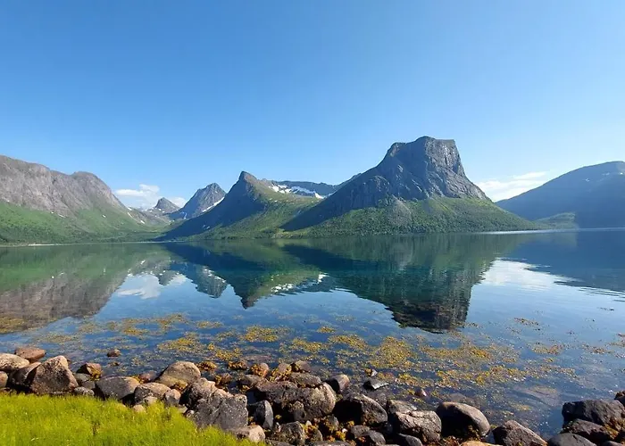 On Senja * Senjahopen