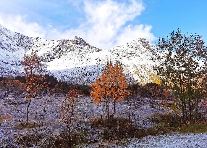 On Senja Nyaraló Senjahopen
