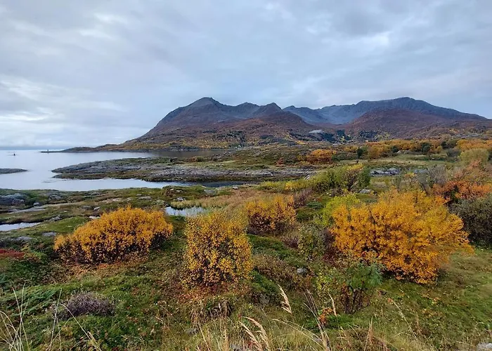 Semesterbostad On Senja *